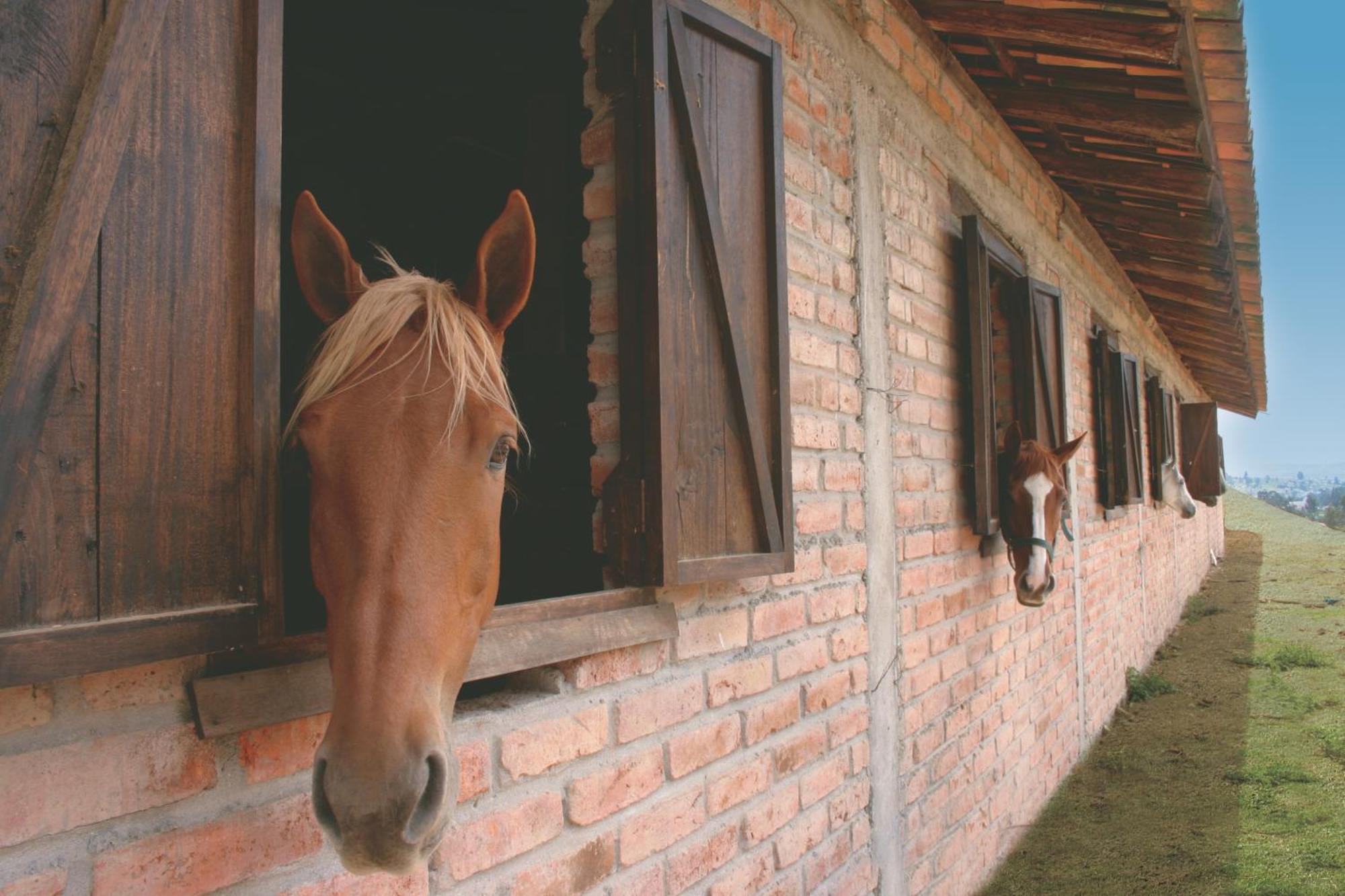 Hosteria Caballo Campana Cuenca Exterior foto